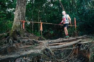 BIB: 
                            <button type="button" onclick="openModal(27323930)" class="btn btn-primary btn-sm float-right btn-popup" data-toggle="modal" data-target=".modal-high-quality">
                        <i class="fas fa-shopping-cart"></i> Add to Cart
                    </button>
                                            <button type="button" onclick="isThisMe(27323930, true)" class="btn btn-success btn-sm float-right btn-popup btn-isme hidden" data-toggle="tooltip" data-placement="bottom" title="นี่คือรูปของคุณใช่ไหม คลิกที่นี่เพื่อเอาเข้าอัลบั้ม">
                        <i class="fas fa-plus"></i> Add to album
                    </button>
                    <button type="button" onclick="isThisMe(27323930, false)" class="btn btn-warning btn-sm float-right btn-popup btn-isnotme hidden">
                        <i class="fas fa-ban"></i> Remove from album
                    </button>